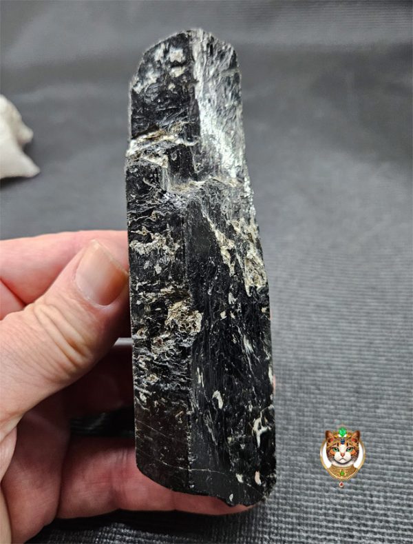 Large Schorl Tourmaline Crystal Intergrowth