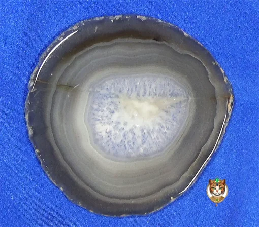 Agate6